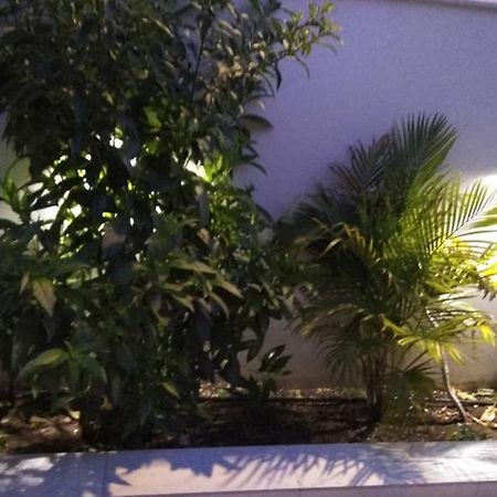 Arxontia 1 Daire Kalamata Dış mekan fotoğraf