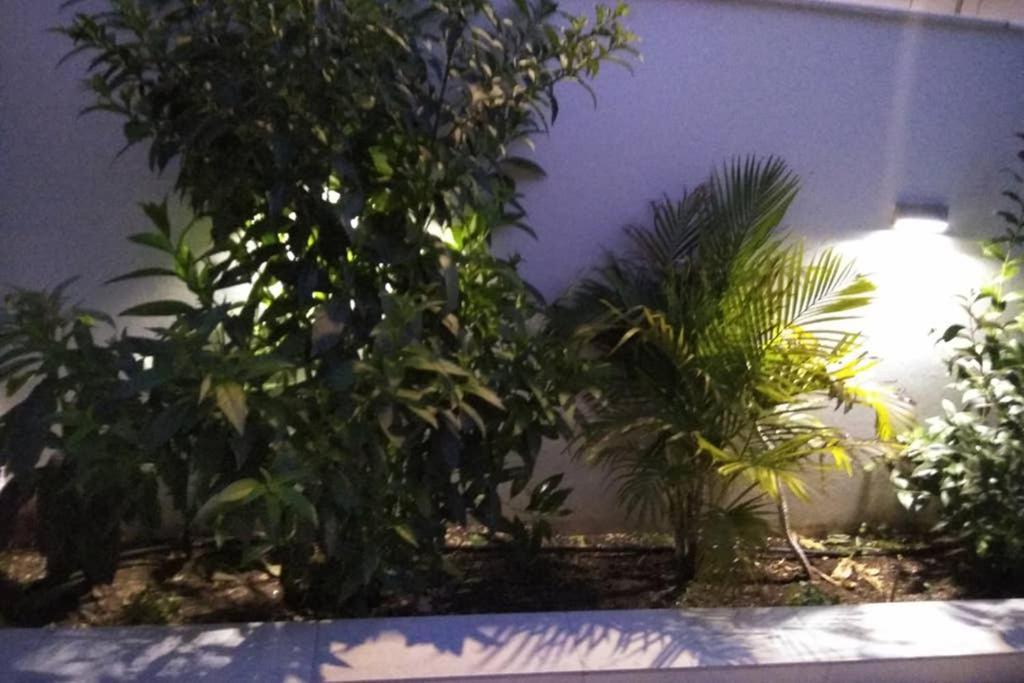 Arxontia 1 Daire Kalamata Dış mekan fotoğraf