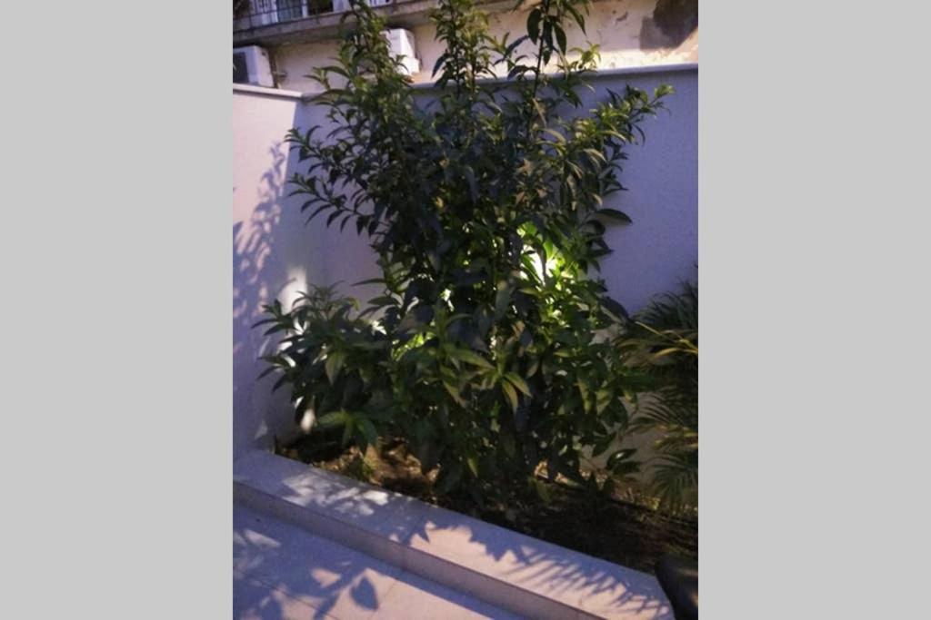 Arxontia 1 Daire Kalamata Dış mekan fotoğraf